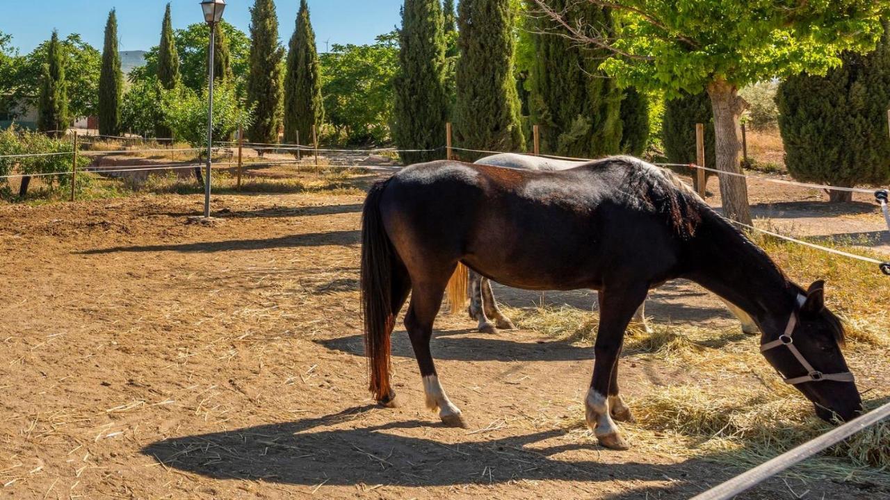 Cortijo Carrillo Antequera By Ruralidays Villa Buitenkant foto